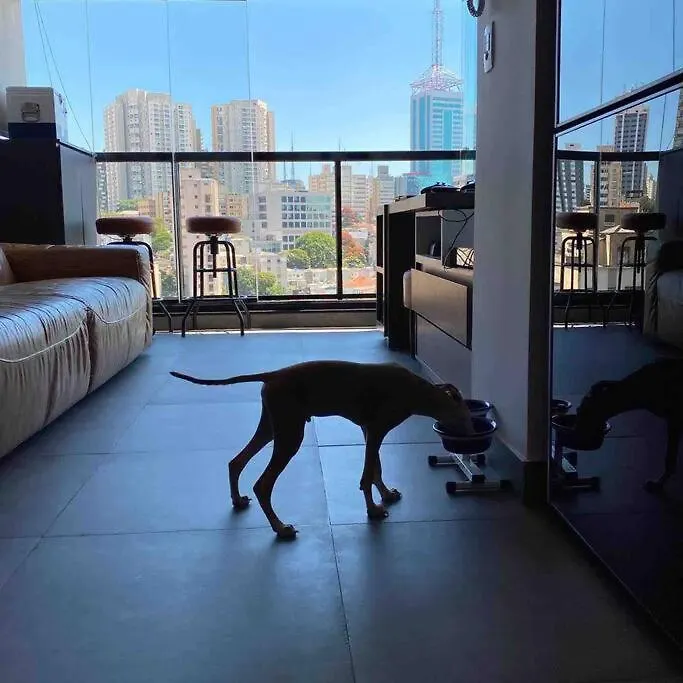 Studio Moderno Proximo A Av Paulista Com Garagem São Paulo 0*,